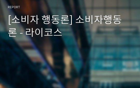 [소비자 행동론] 소비자행동론 - 라이코스