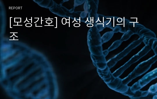 [모성간호] 여성 생식기의 구조