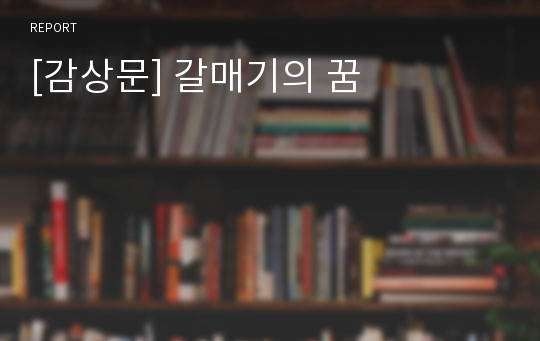 [감상문] 갈매기의 꿈