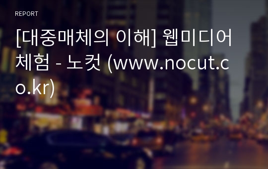 [대중매체의 이해] 웹미디어 체험 - 노컷 (www.nocut.co.kr)