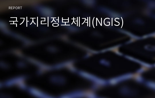 국가지리정보체계(NGIS)