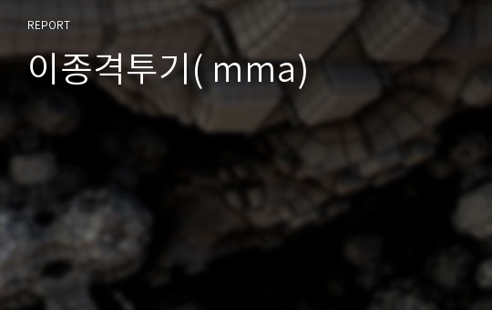 이종격투기( mma)