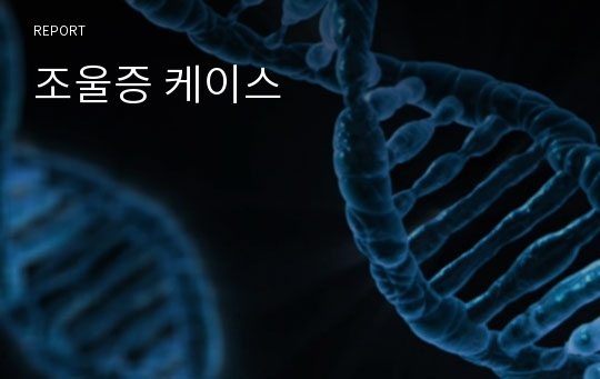 조울증 케이스