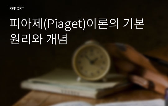 피아제(Piaget)이론의 기본 원리와 개념