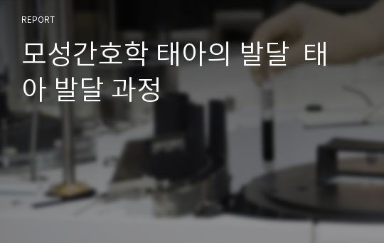 모성간호학 태아의 발달  태아 발달 과정