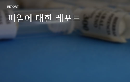 피임에 대한 레포트