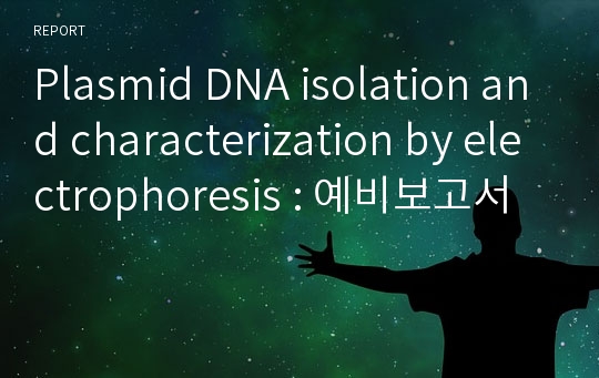 Plasmid DNA isolation and characterization by electrophoresis : 예비보고서