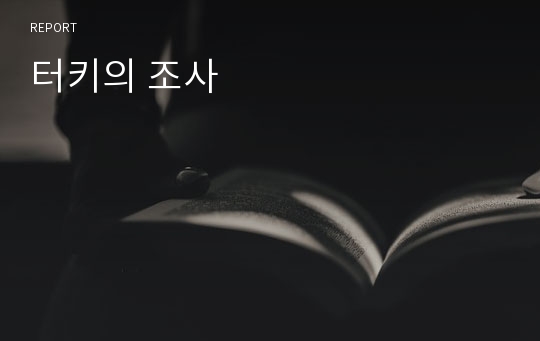 터키의 조사