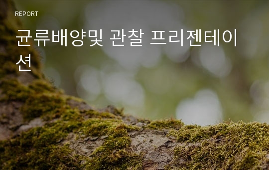 균류배양및 관찰 프리젠테이션