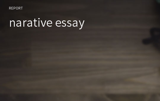 narative essay