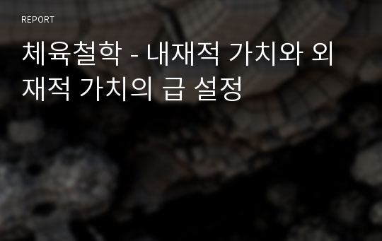 체육철학 - 내재적 가치와 외재적 가치의 급 설정