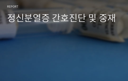 정신분열증 간호진단 및 중재