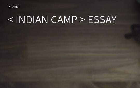 &lt; INDIAN CAMP &gt; ESSAY