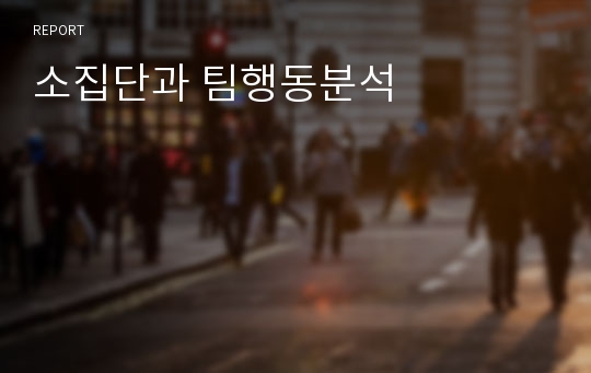 소집단과 팀행동분석