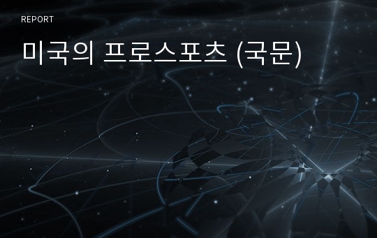 미국의 프로스포츠 (국문)