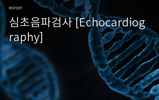 심초음파검사 [Echocardiography]