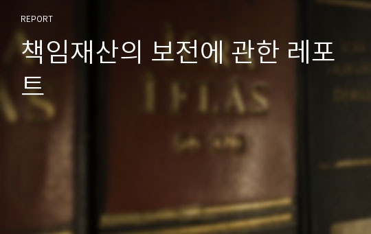 책임재산의 보전에 관한 레포트