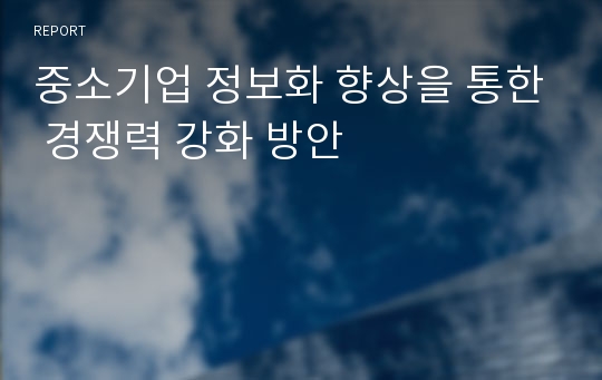 중소기업 정보화 향상을 통한 경쟁력 강화 방안