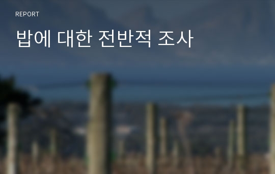 밥에 대한 전반적 조사