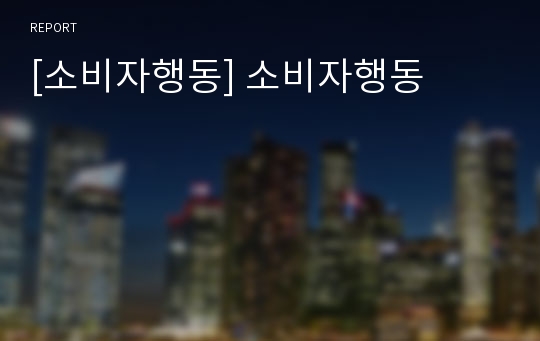 [소비자행동] 소비자행동