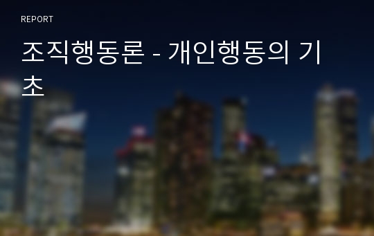 조직행동론 - 개인행동의 기초