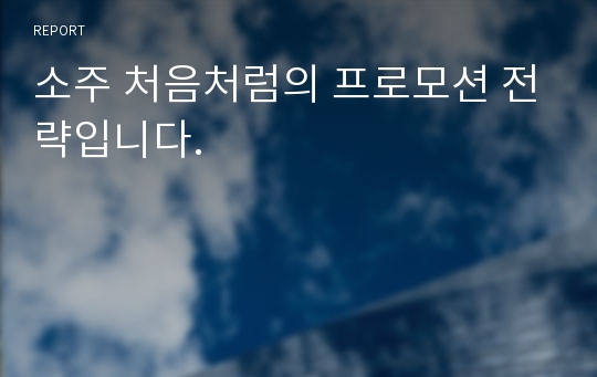 소주 처음처럼의 프로모션 전략입니다.