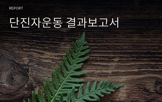 단진자운동 결과보고서