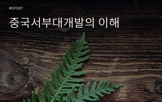 중국서부대개발의 이해