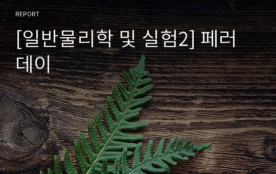 [일반물리학 및 실험2] 페러데이