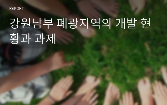 강원남부 폐광지역의 개발 현황과 과제