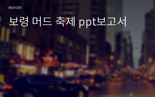 보령 머드 축제 ppt보고서