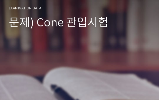 문제) Cone 관입시험