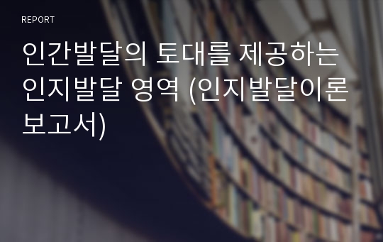 인간발달의 토대를 제공하는 인지발달 영역 (인지발달이론보고서)