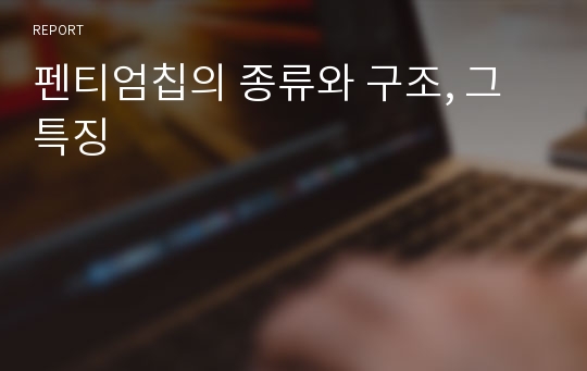 펜티엄칩의 종류와 구조, 그 특징