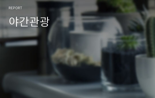 야간관광