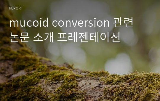 mucoid conversion 관련 논문 소개 프레젠테이션