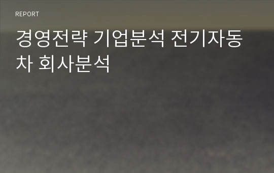 경영전략 기업분석 전기자동차 회사분석