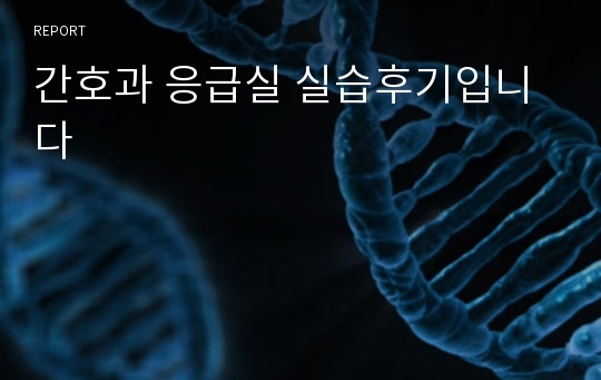 간호과 응급실 실습후기입니다