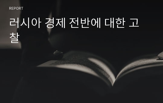 러시아 경제 전반에 대한 고찰