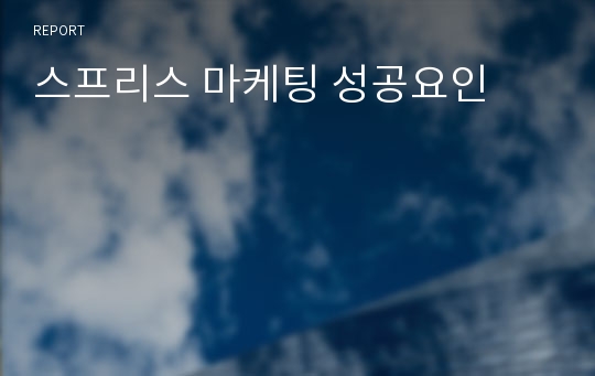 스프리스 마케팅 성공요인