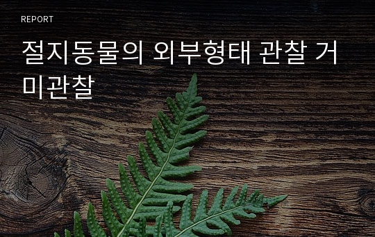 절지동물의 외부형태 관찰 거미관찰