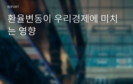 환율변동이 우리경제에 미치는 영향