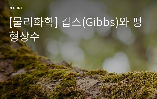 [물리화학] 깁스(Gibbs)와 평형상수