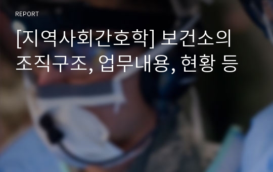 [지역사회간호학] 보건소의 조직구조, 업무내용, 현황 등