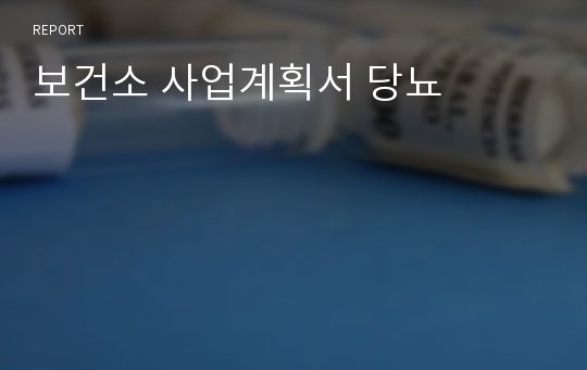 보건소 사업계획서 당뇨