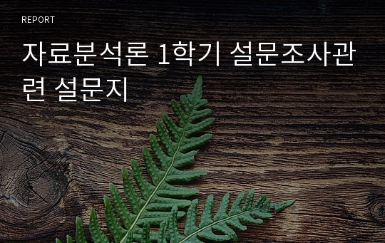 자료분석론 1학기 설문조사관련 설문지