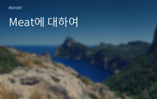 Meat에 대하여