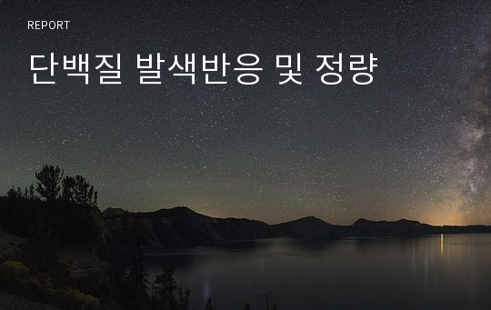 단백질 발색반응 및 정량