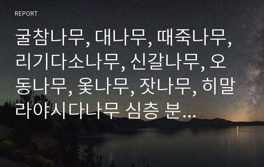 굴참나무, 대나무, 때죽나무, 리기다소나무, 신갈나무, 오동나무, 옻나무, 잣나무, 히말라야시다나무 심층 분석(굴참나무, 대나무, 때죽나무, 리기다소나무, 신갈나무, 오동나무, 옻나무, 잣나무, 히말라야시다나무)