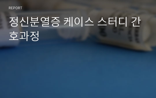 정신분열증 케이스 스터디 간호과정